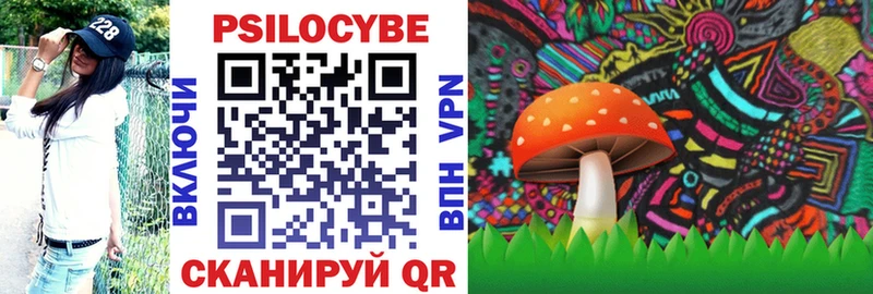Псилоцибиновые грибы Magic Shrooms  Купить закладки  Нестеровская 